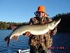 Click image for larger version. 

Name:	edwin45muskie04nov2010 [1024x768].JPG 
Views:	413 
Size:	167.2 KB 
ID:	12607