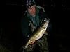 Click image for larger version. 

Name:	Walleyes 4-24; Easter 2011 002.jpg 
Views:	113 
Size:	179.3 KB 
ID:	13205