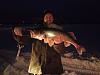 Click image for larger version. 

Name:	2012icewalleye.jpg 
Views:	255 
Size:	195.2 KB 
ID:	15573
