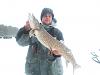 Click image for larger version. 

Name:	2012icepike.jpg 
Views:	220 
Size:	167.5 KB 
ID:	15574