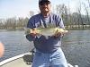 Click image for larger version. 

Name:	walleye 006 web.jpg 
Views:	536 
Size:	50.6 KB 
ID:	16002